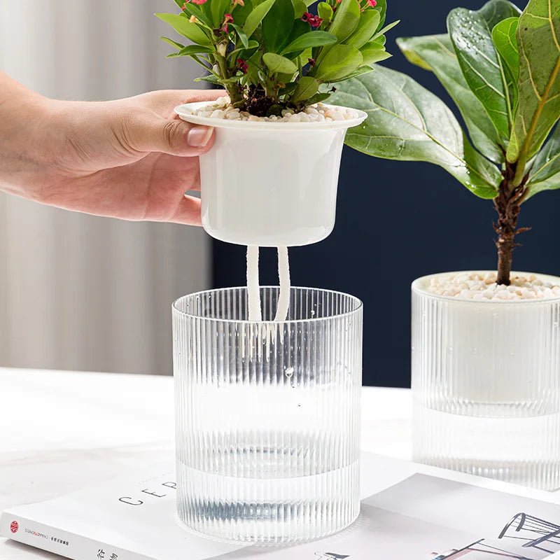 Pot hydroponique à arrosage automatique