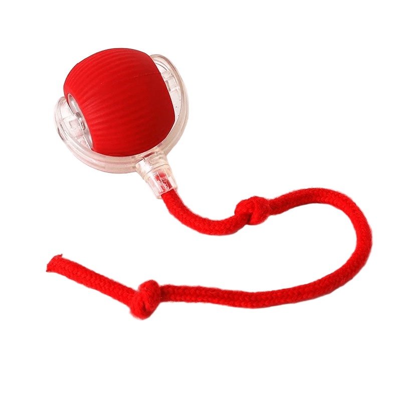 Automatický míček pro psa s USB-C