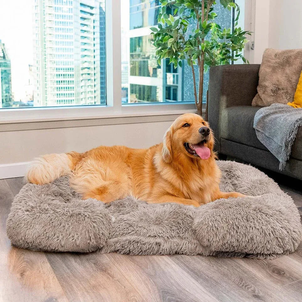 Plush dog bed