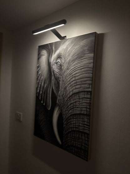 LED lampa nad obraz s ovladačem