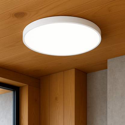 Lampe LED ronde pour plafond