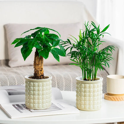 Self-watering hydroponic pot