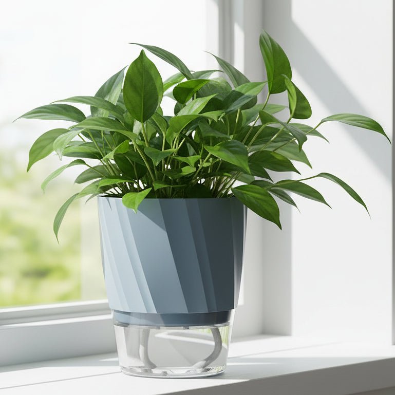 Pot autoarrosant pour l’hydroponie
