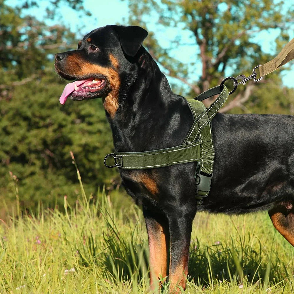 Harnais réfléchissant pour chien