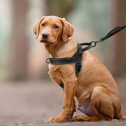 Harnais réfléchissant pour chien