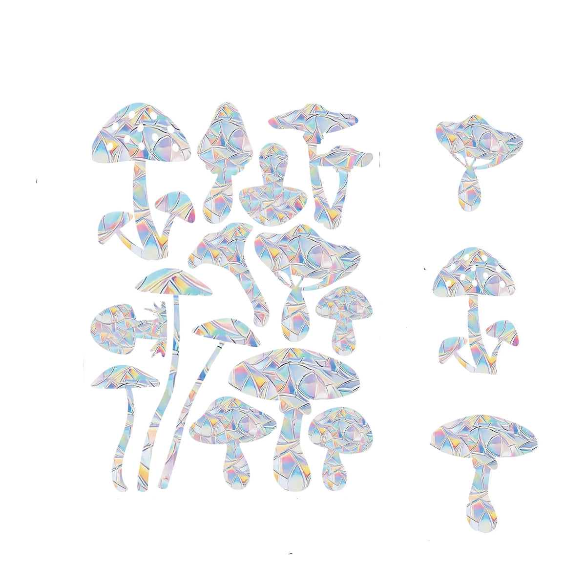 Autocollants de fenêtre holographiques