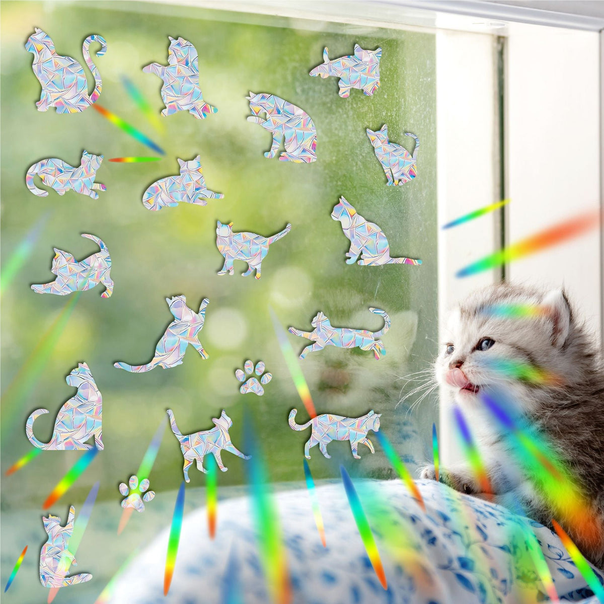 Autocollants de fenêtre holographiques
