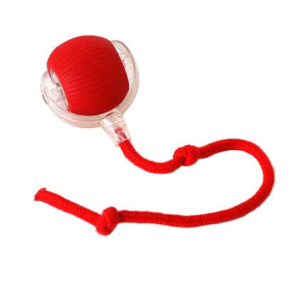 Automatický míček pro psa s USB-C