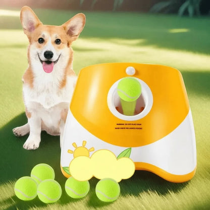 Lanceur de balles pour chien USB