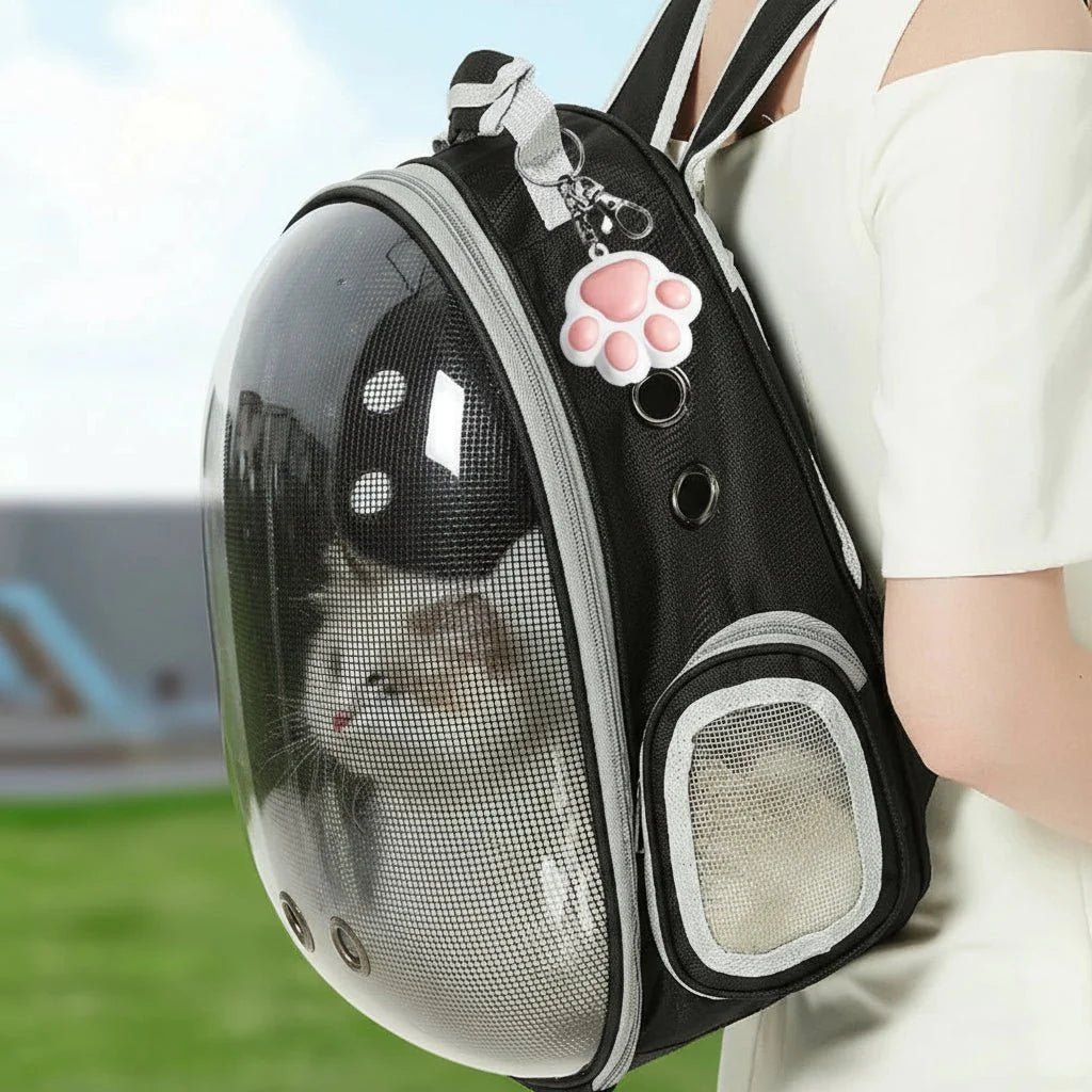 Jouet laser pour chat avec minuterie