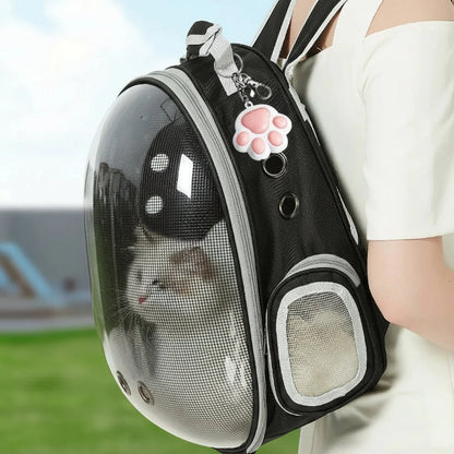Jouet laser pour chat avec minuterie