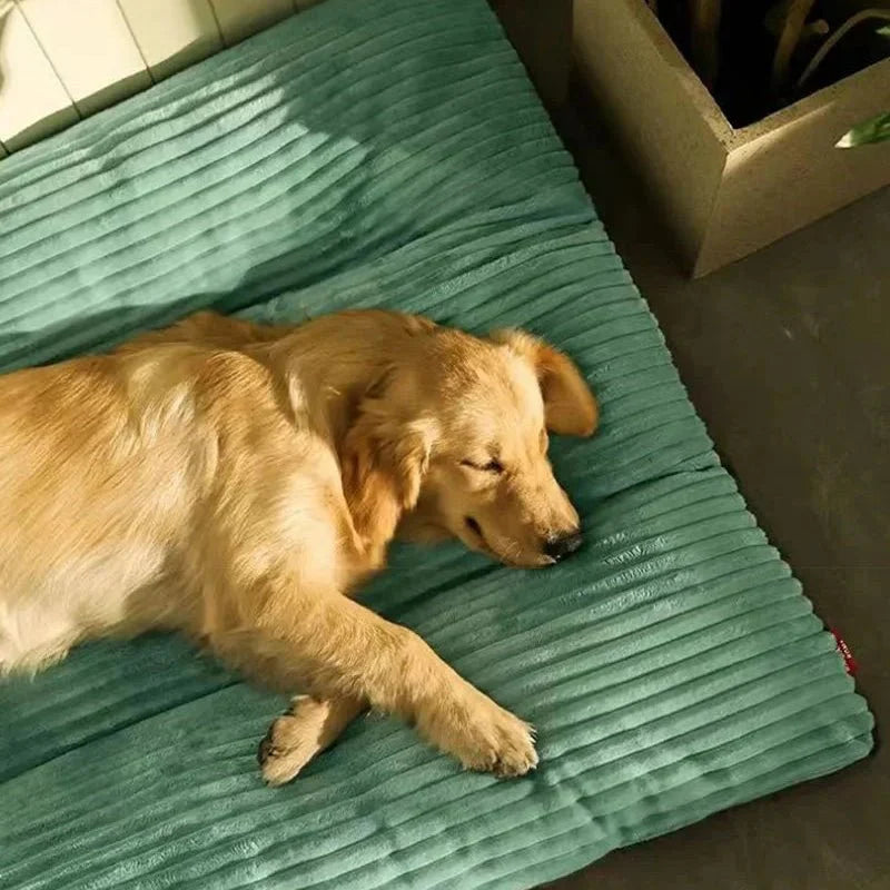 Lit orthopédique pour chien