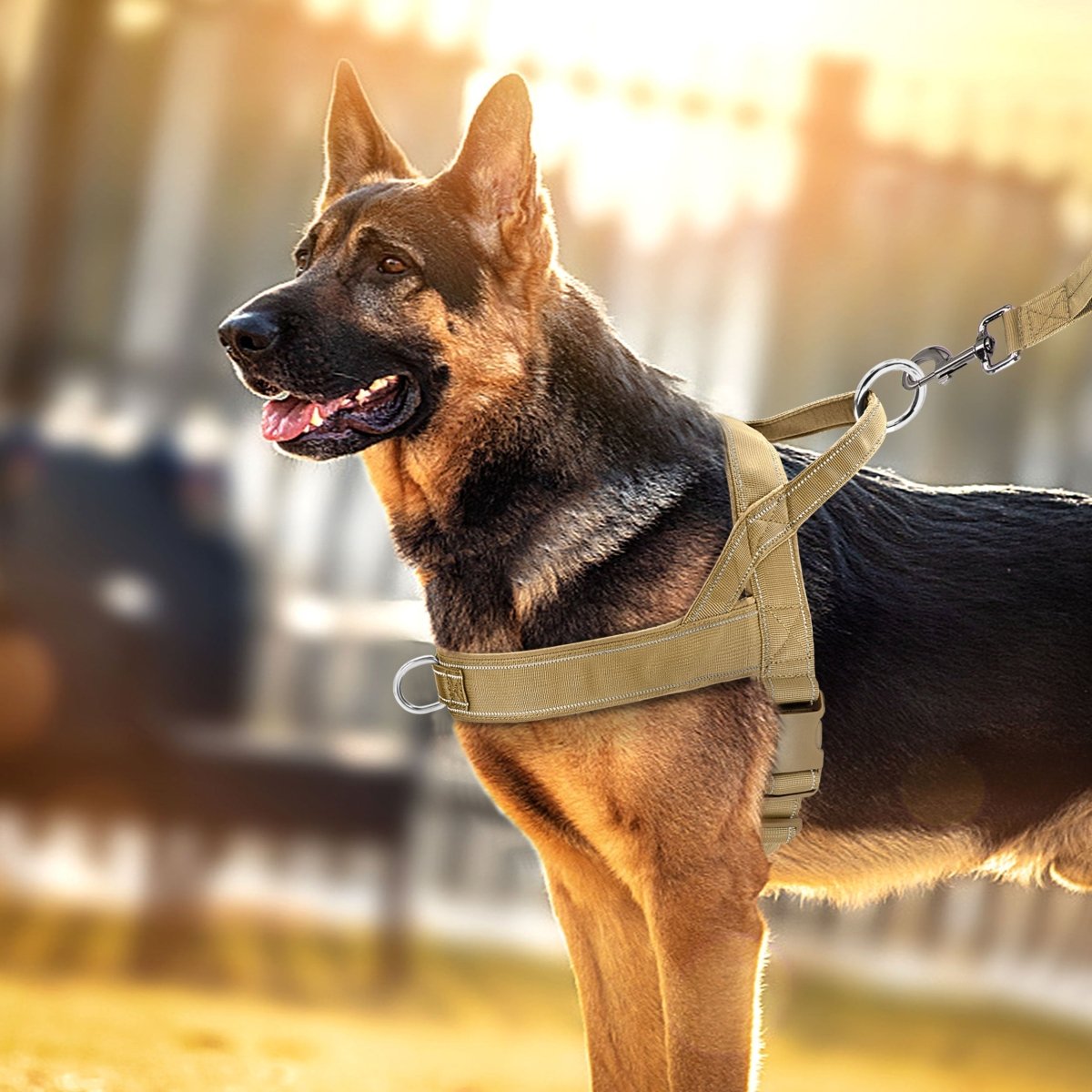 Harnais réfléchissant pour chien