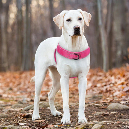 Harnais réfléchissant pour chien