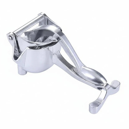 Slow-juicing fruit extractor