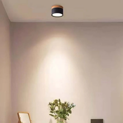 Přisazené stropní LED svítidlo