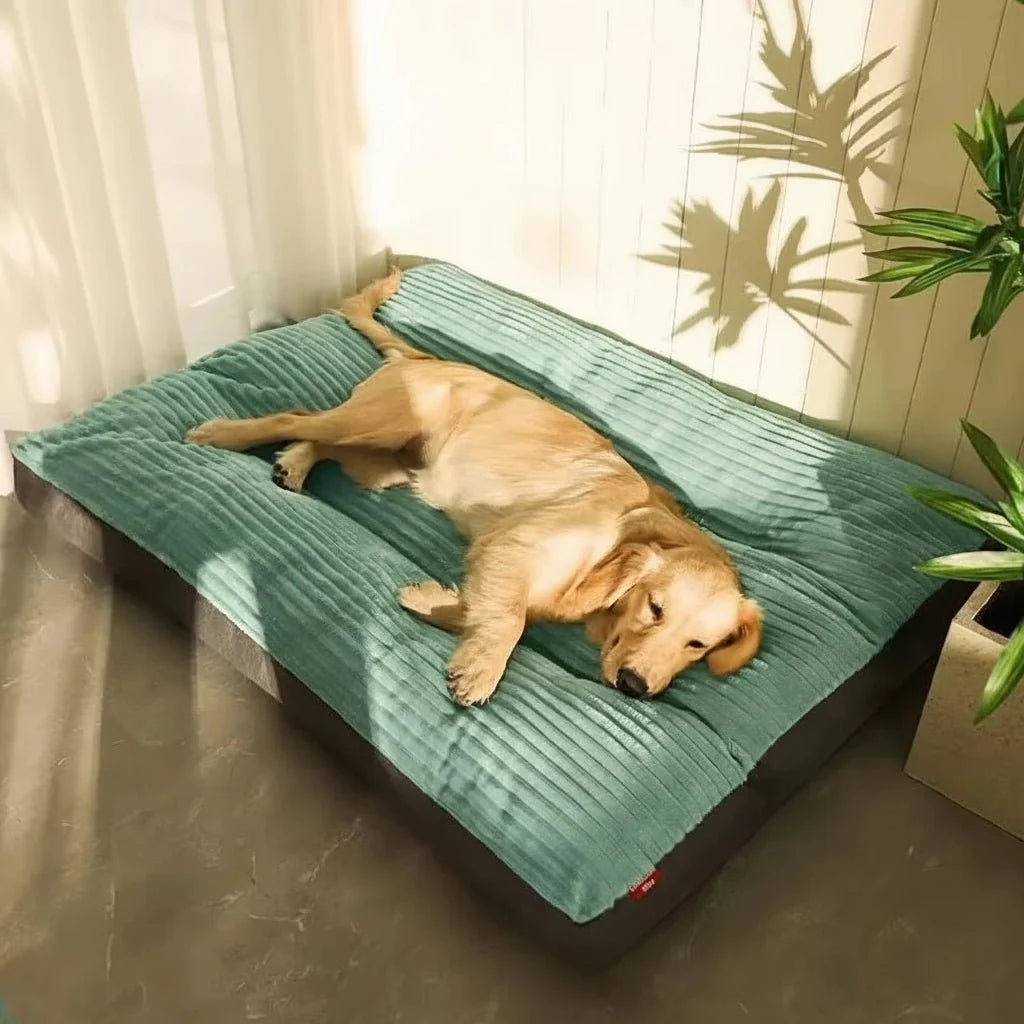 Lit orthopédique pour chien