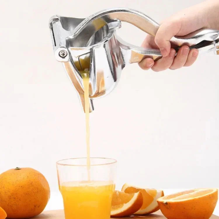 Slow-juicing fruit extractor