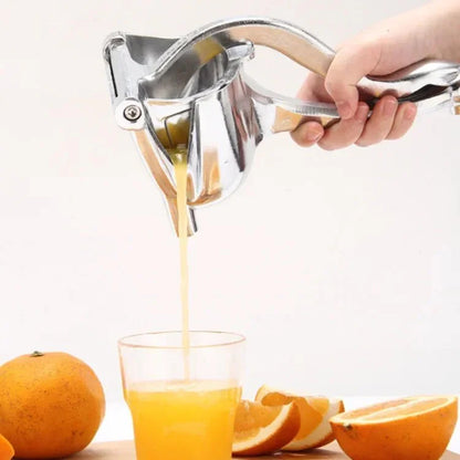 Slow-juicing fruit extractor
