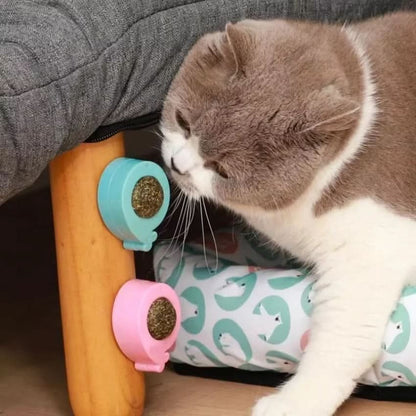Jouet pour chat à l’herbe à chat