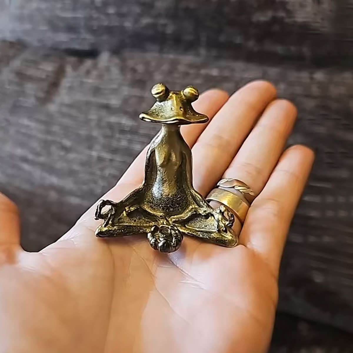 Žabí držák na vonné tyčinky