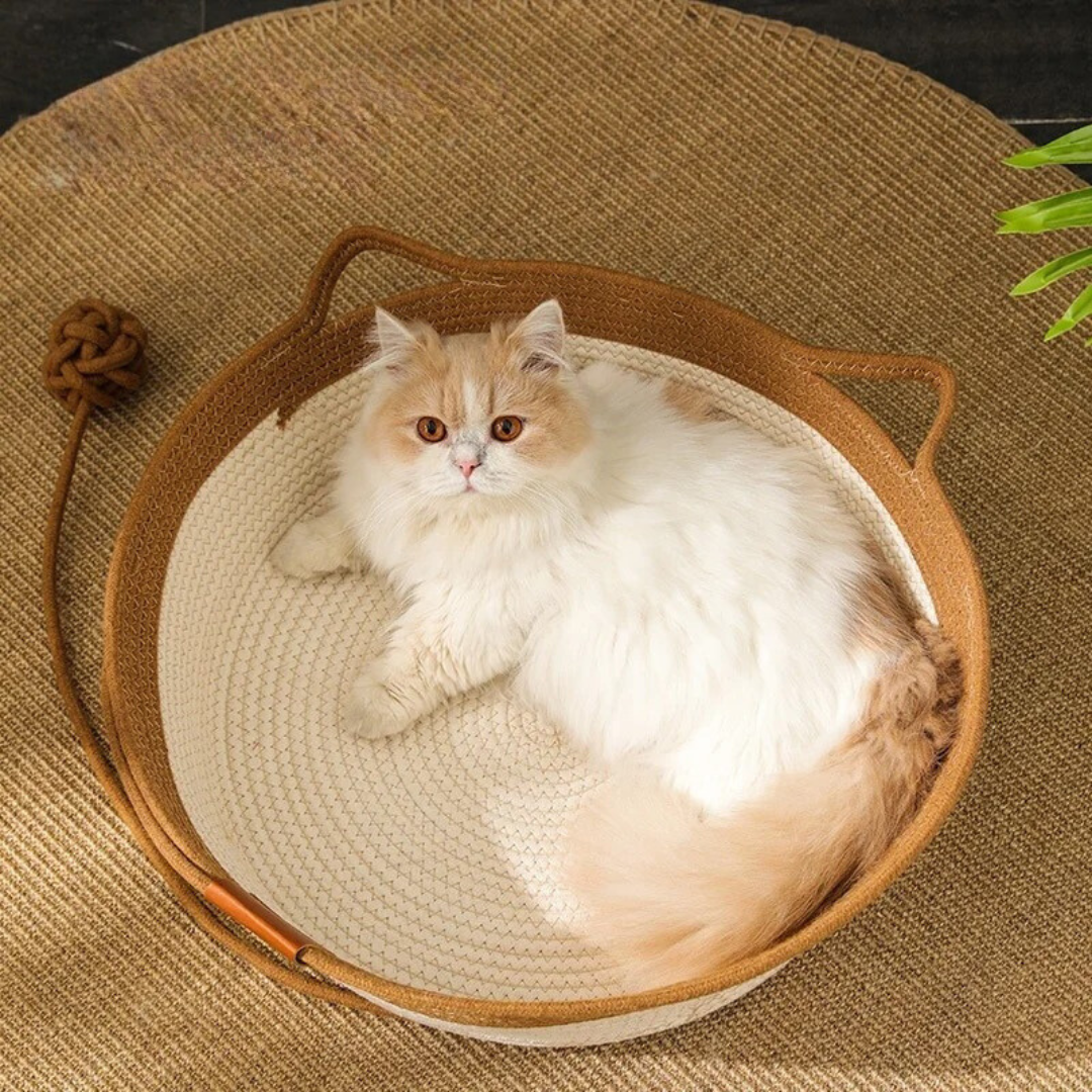 Panier pour chat en corde