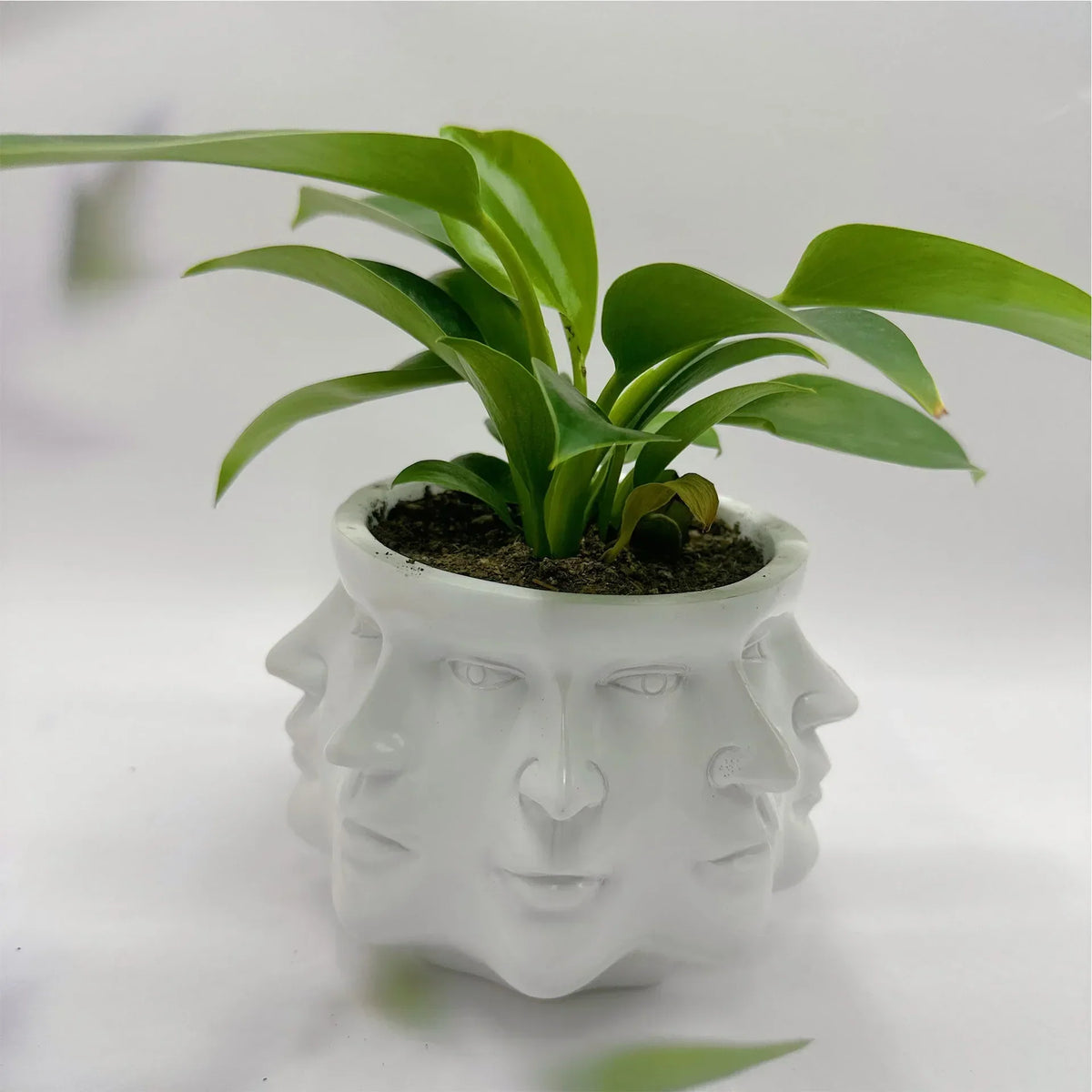 3D Face Planter, 12.5 cm
