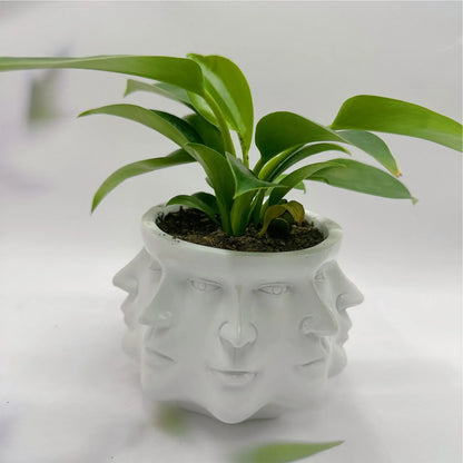 3D Face Planter, 12.5 cm