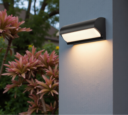 Black outdoor LED wall light