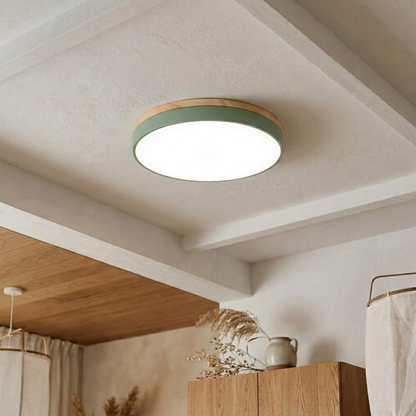 Round LED ceiling light