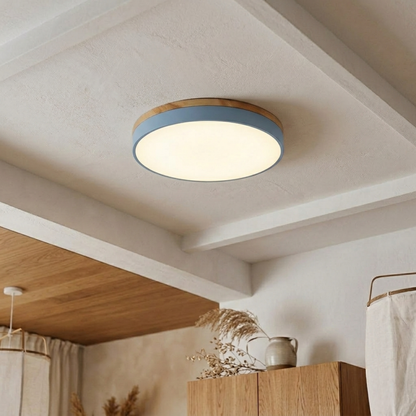 Round LED ceiling light