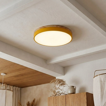 Round LED ceiling light