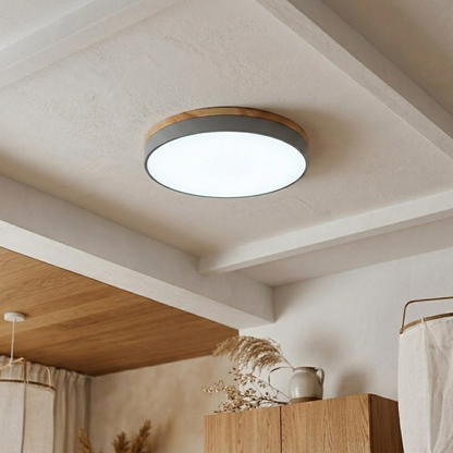 Round LED ceiling light