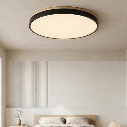 Round LED ceiling light