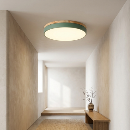 Round LED ceiling light