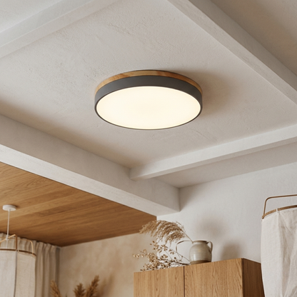 Round LED ceiling light