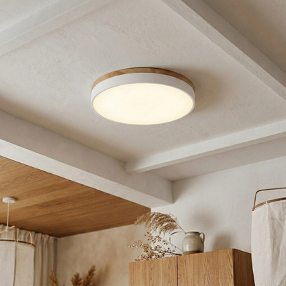 Round LED ceiling light