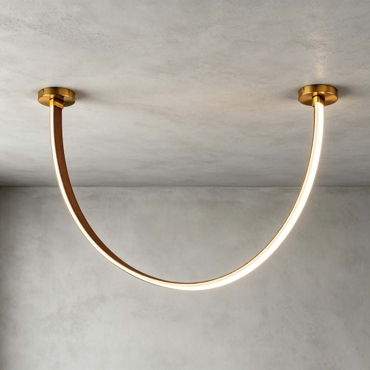 LED ceiling lamp with curved arms