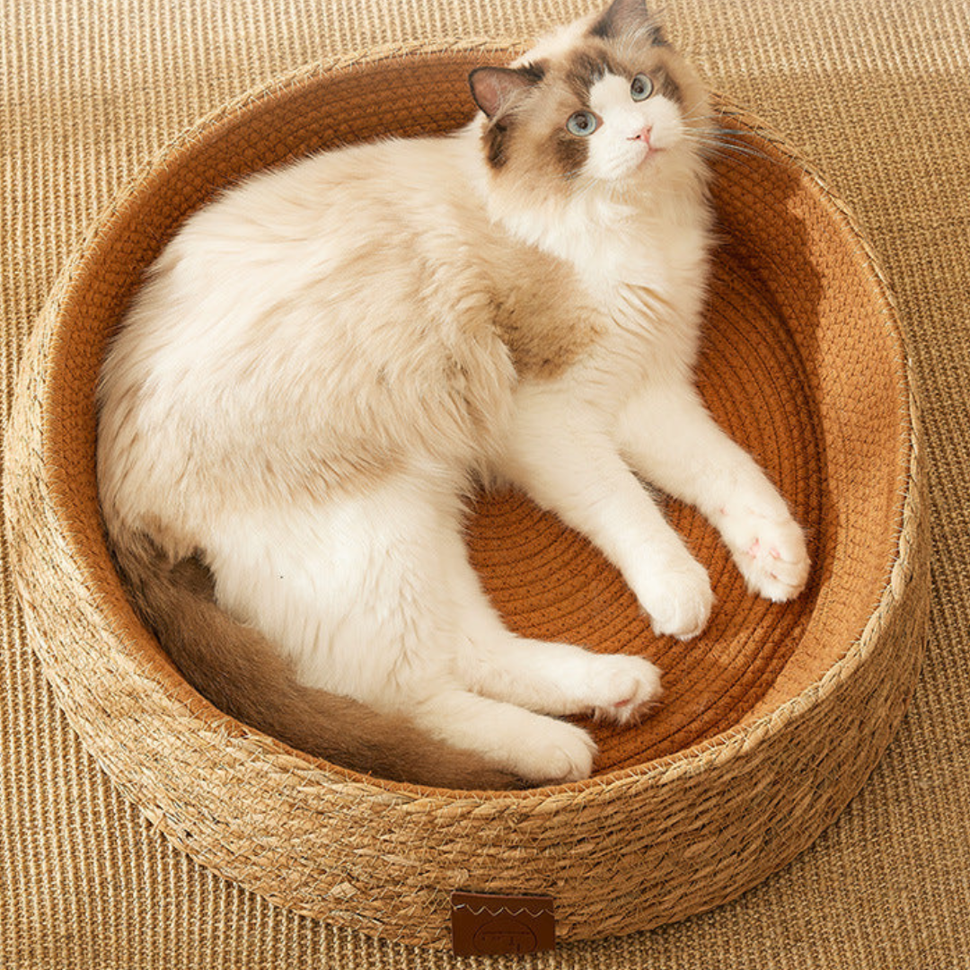 Panier tressé pour chat