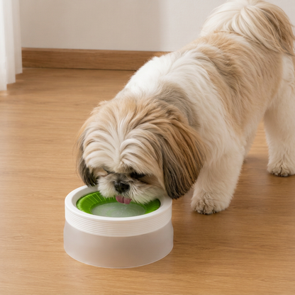 Spill-proof dog bowl