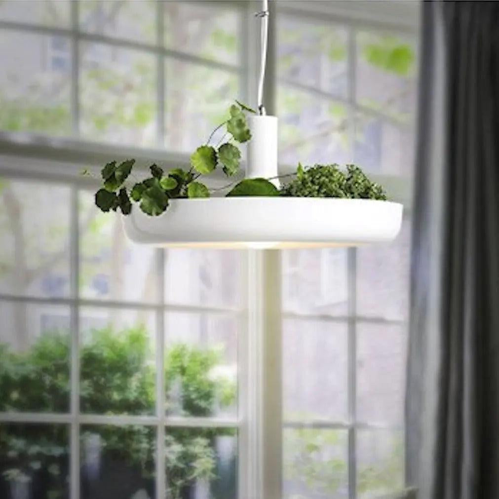 Lampa wisząca z doniczką
