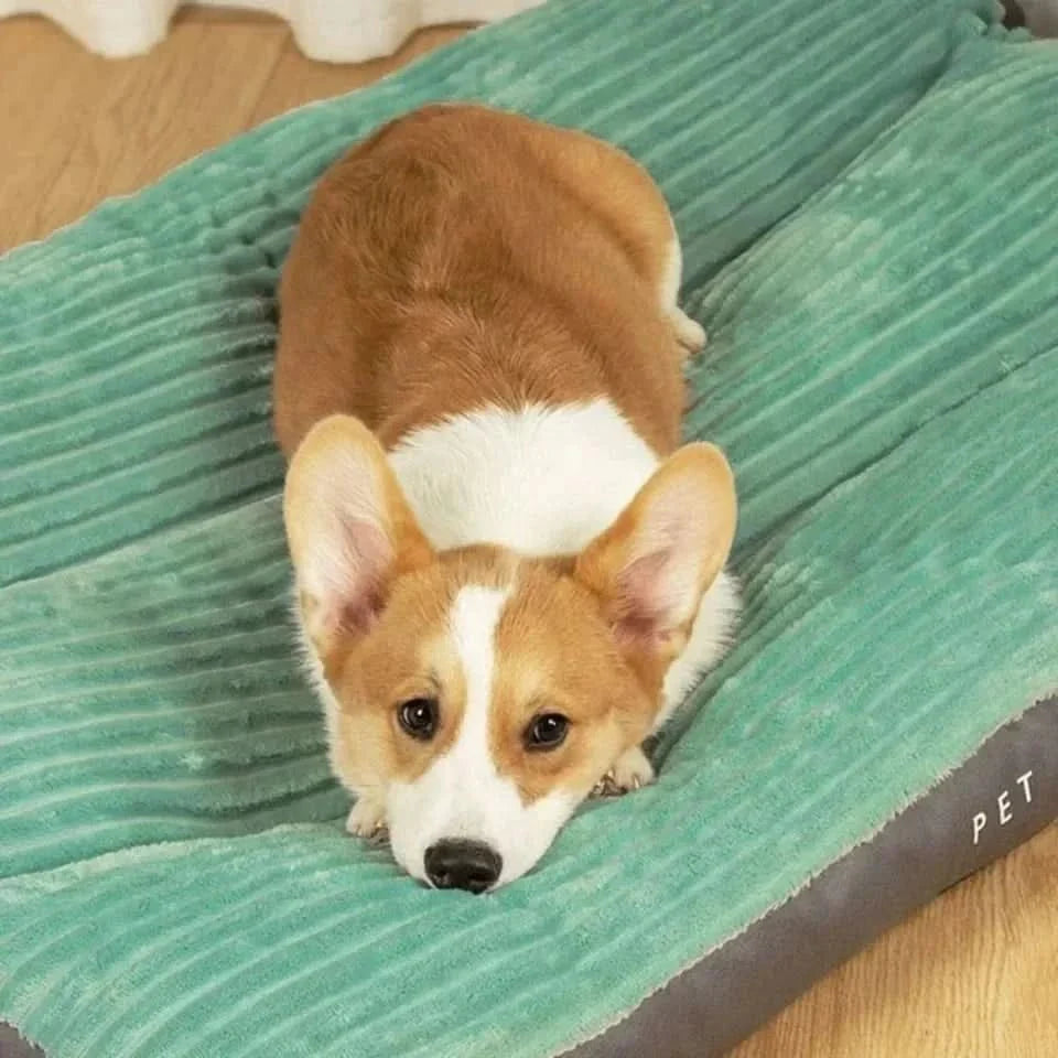 Lit orthopédique pour chien