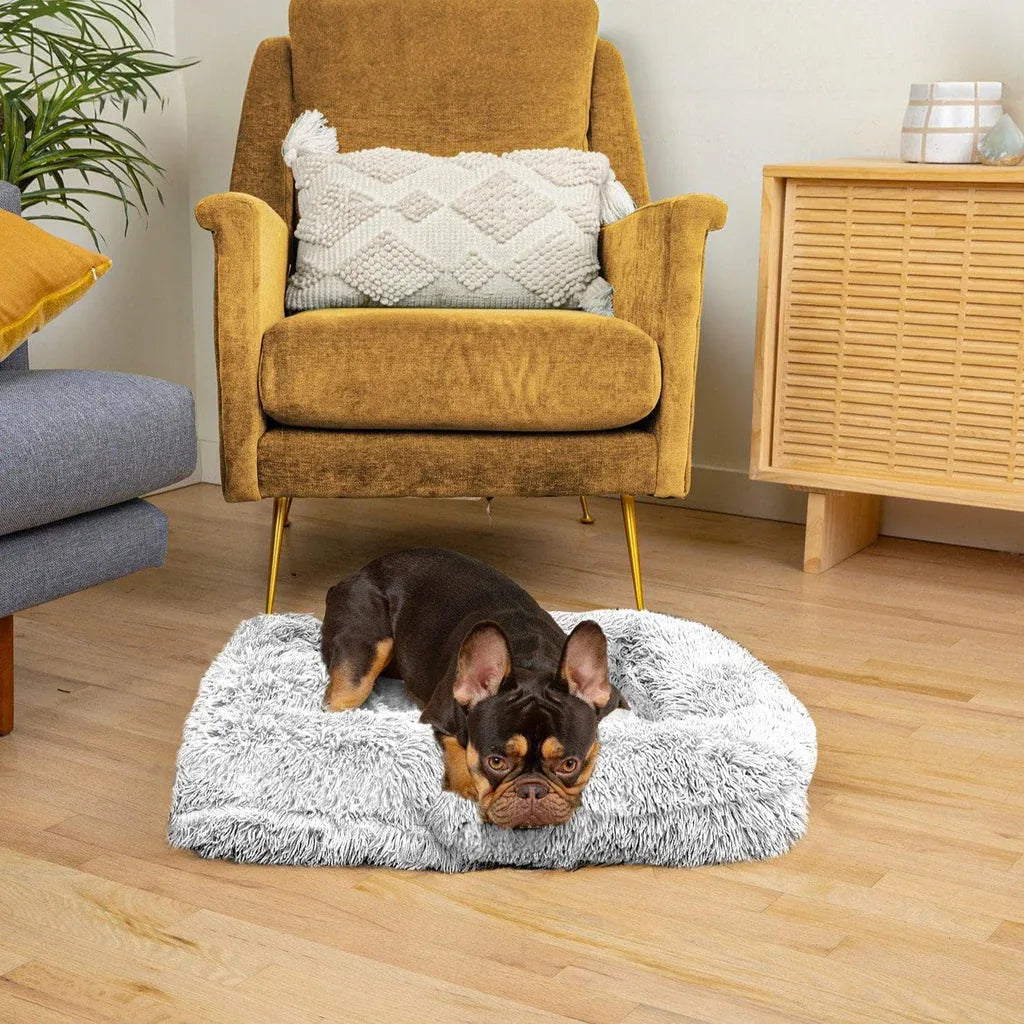 Plush dog bed