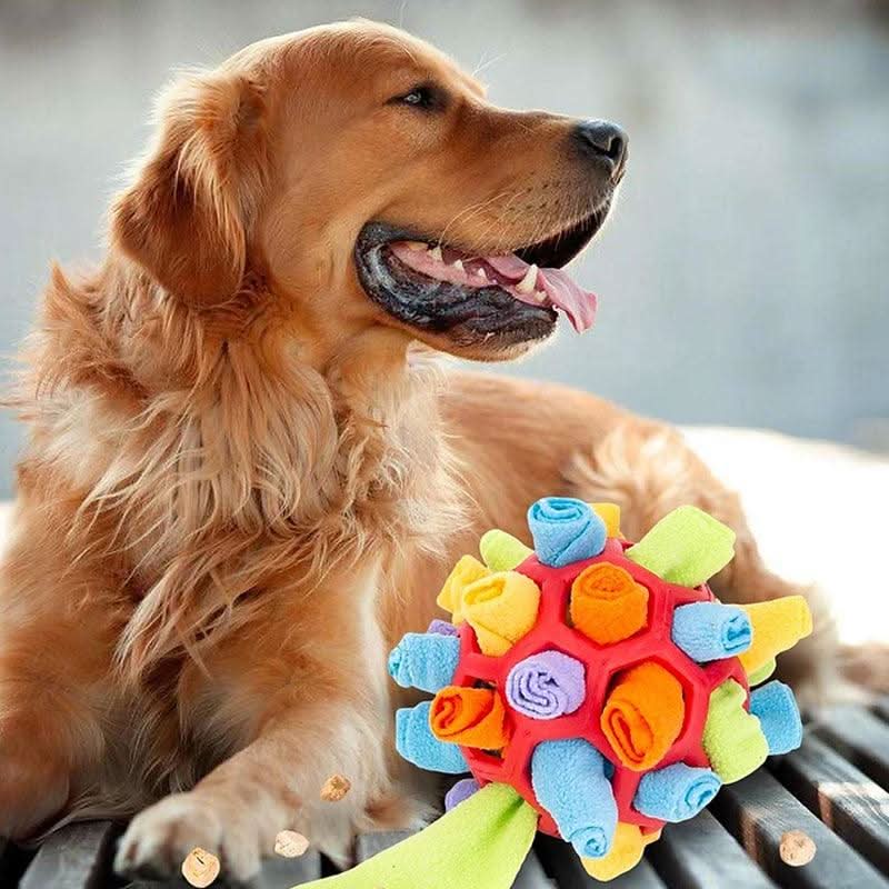 Tapis de flair pour animaux