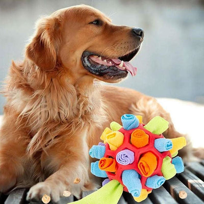 Tapis de flair pour animaux