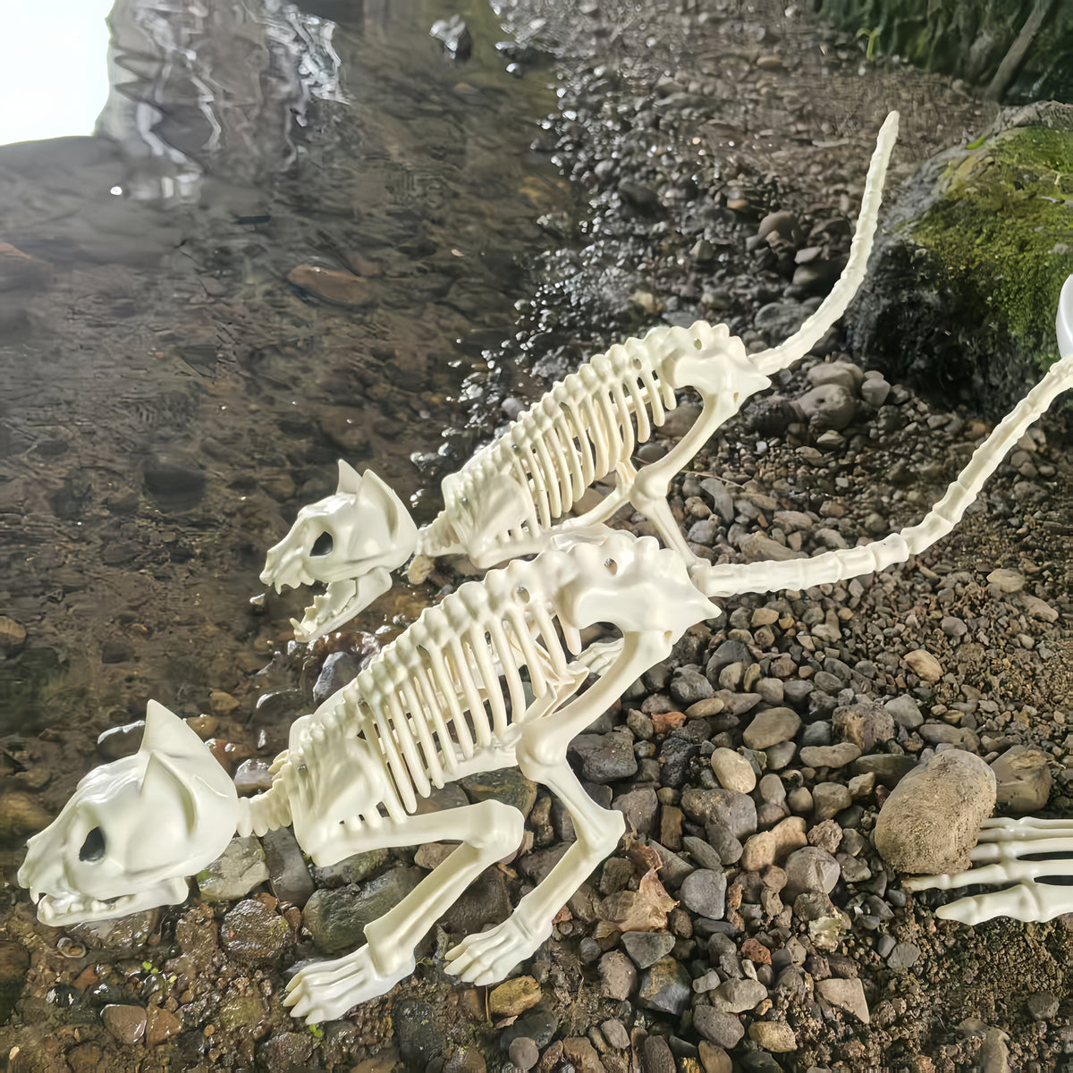 Ruchomy szkielet dekoracyjny 165 cm