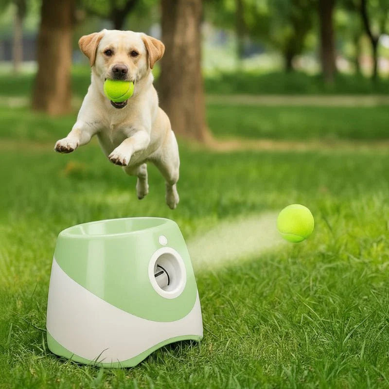 Lanceur de balles pour chien USB