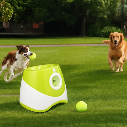 Lanceur de balles pour chien USB